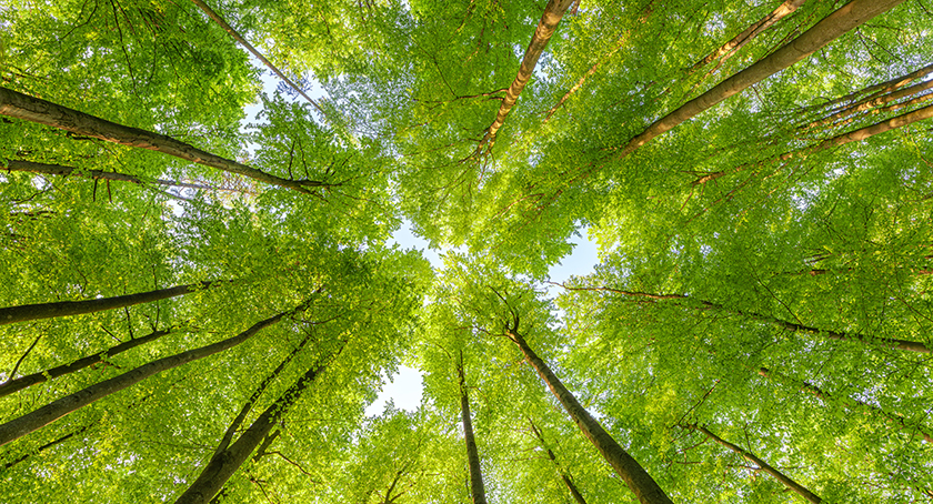 Ink Industry Places Increasing Emphasis on Sustainable Raw Materials